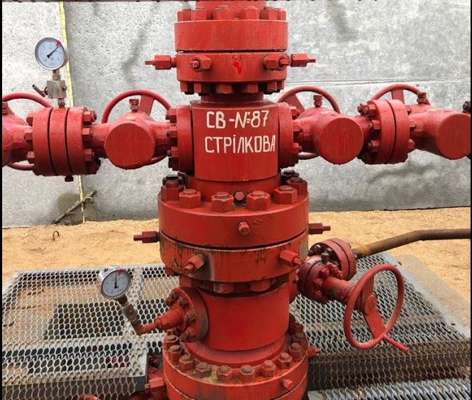 Світлана Нєжнова: «Газопровід з Генічеська відкриває перспективи нарощування видобутку на Стрілковому»